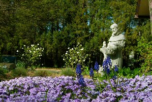 St. Francis of Assisi